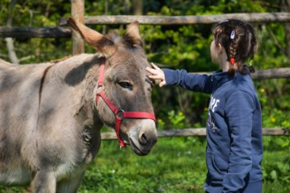 Al via da settembre il progetto di pet therapy con gli asini Al via da settembre il progetto di pet therapy con gli asini