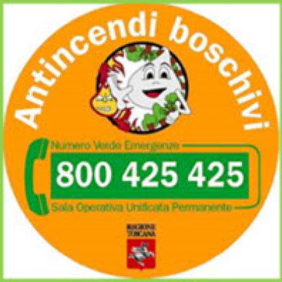 Logo associazione Antincendi boschivi