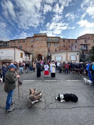 benedizione_sant'antonio