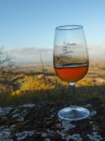 vin santo montefollonico