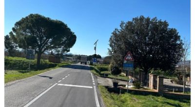 Ponte